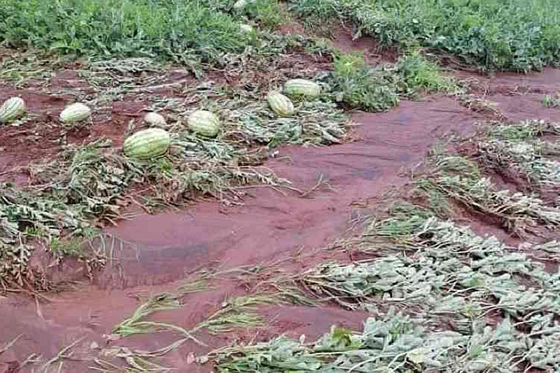 Kenya’s dramatic flooding sweeps away a central part of the economy: Its farms